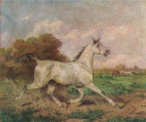 Сверчков Николай Егорович. Серый жеребец на рыси. 1894