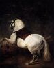Диего Веласкес. Белая лошадь