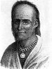Гилберт Чарльз Стюарт. Портрет Маленькой Черепахи, вождя индейцев майами, воевавшего против США в 1790-ых годах. 