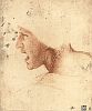 Леонардо да Винчи. Голова воина в профиль. Этют к картине "Битва при Ангиари". 1504 -1505. 22,6 x 18,6 см. Будапешт, Музей изящных искусств. 