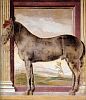 Джулио Романо. Мантуя. Палаццо дель Те. Зал Лошадей. Конь "Morel favorito".  Около 1526