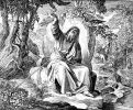 Юлиус Шнорр фон Карольсфельд. Илья Пророк в пустыне. «Die Bibel in Bildern», 1852—1860 гг.