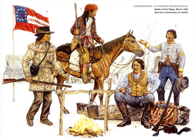 Индейцы чероки в армии Конфедерации 