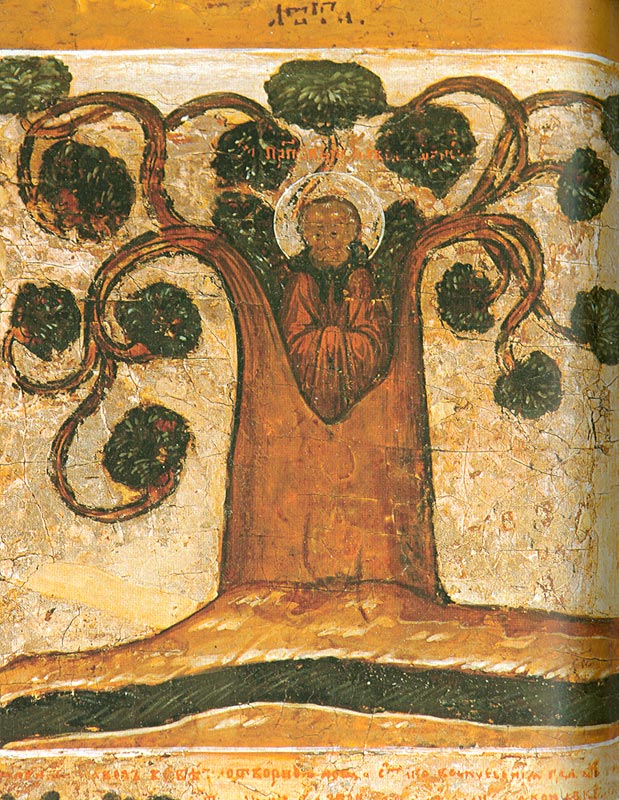 Преподобный Павел Обнорский в дупле липового дерева. Фрагмент его житийной иконы XVII века. 