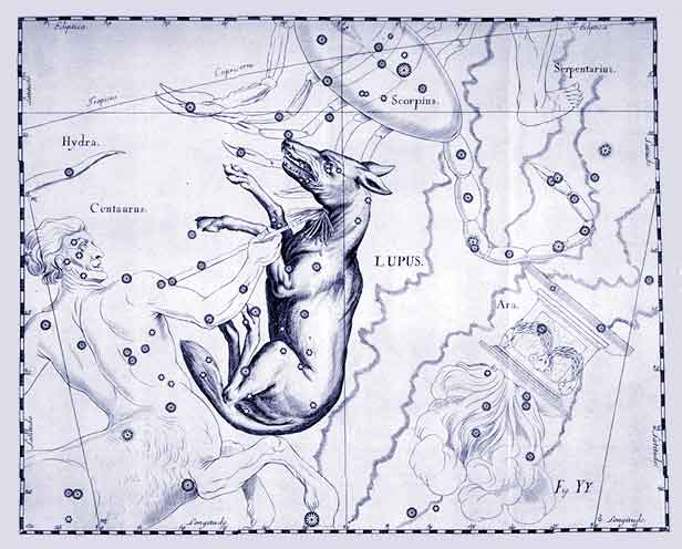 Созвездие Волка. Звёздный атлас Яна Гевелия. 1690