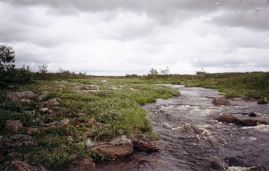 Veymyok river upstream. Photo by A.Y. Burov-Staskov. July 2001