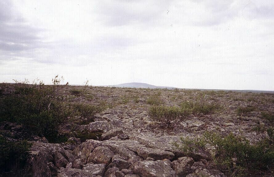 Вид с гор Каменистых на запад. Вдали - гора Лешая (высота 443 метра) 