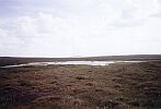 Возвышенность Няльмчечуайв. Вид на гору Няльмчечуайв со стороны истоков реки Няльмйок. Июль 2004