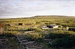 Остатки геологического посёлка Полмос. Июль 2004