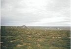 Вид с восточного склона горы Кузкэйнт в сторону южной оконечности Лявозера. Июль 2004
