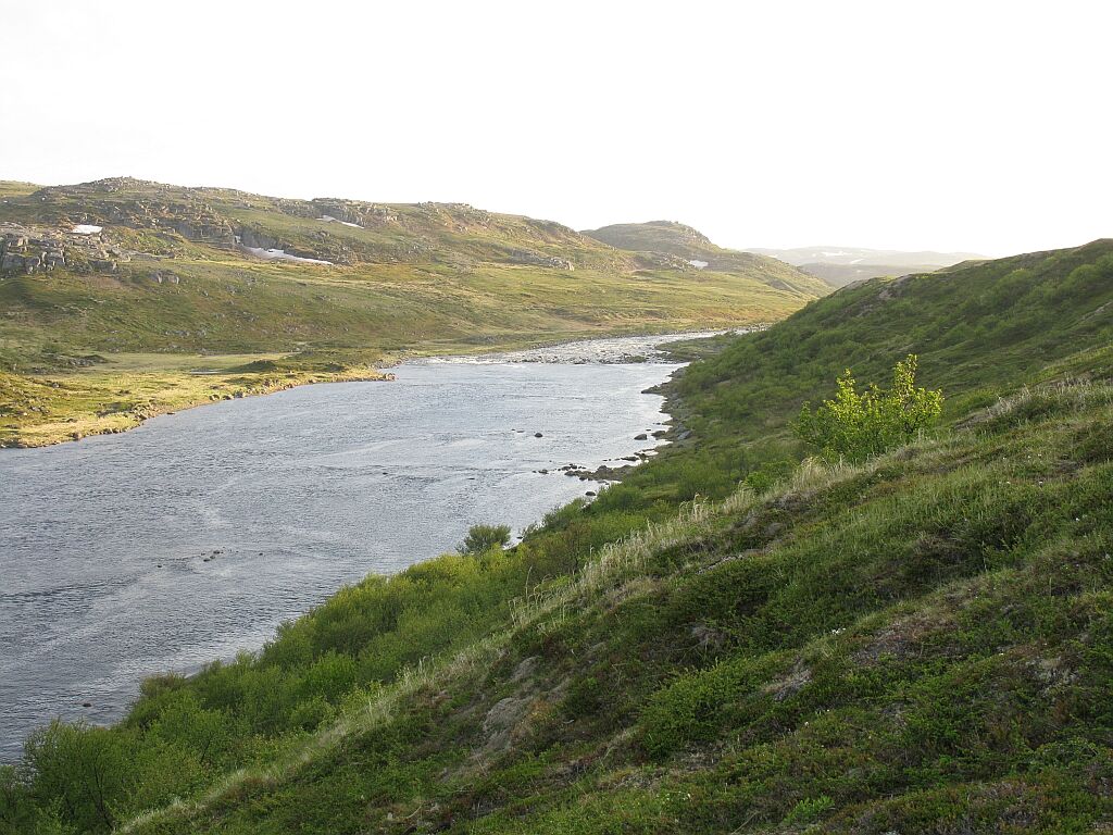 Река Рында недалеко от устья. Фото Евгения Захарова. Июль 2008 