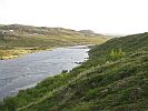 Река Рында недалеко от устья. Фото Евгения Захарова. Июль 2008 