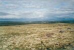 Вид на север от геодезического знака на вершине горы Сейдпахк. Август 2001 