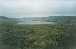 Вид с севера на северо-западный залив озера Тиръявр. Август 2001 года 
