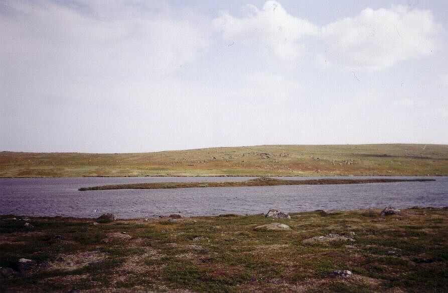 Остров на озере Вансъявр. Вид с западного берега. Июль 2004