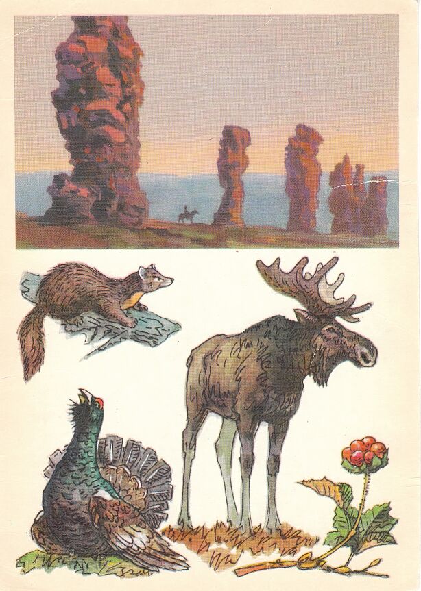 Печоро-Илычский заповедник. На открытке: куница, лось, морошка, глухарь.