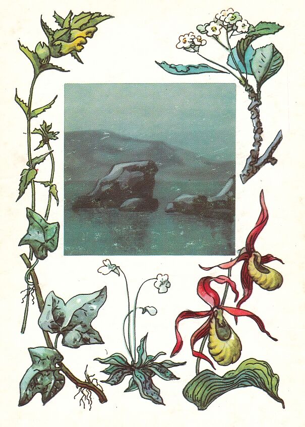 Вийдумяэский заповедник. На открытке: погремок эзельский, рябина скальная, венерин башмачок, жирянка альпийская, плющ обыкновенный.