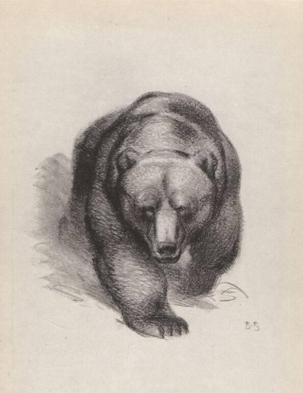 Russian art. Vasily Alekseyevich Vatagin. The Bear