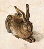 Альбрехт Дюрер. Рисунок зайца. 1502