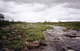 Veymyok river upstream. Photo by A.Y. Burov-Staskov. July 2004