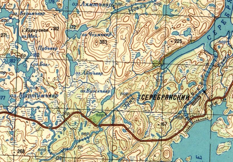 Хариусная - гора. К северу от 100-ого километра автодороги Кола - Серебрянская ГЭС, на восток от озера Пубъявр, на юго-запад от озера Лямтъявр, на запад от озера Чолмъявр, на северо-запад от озера Айтъявр. Абсолютная высота - 312 метров. Гора Хариусная на карте двухкилометровке 