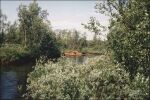 Река Пессарьйок. Фото Павла Горбачёва. Июль 2003