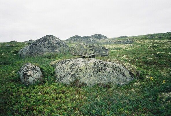 На склоне горы Сейдпахк. Фото Борея. Август 2007