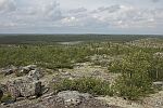 Вид с горы Тапперуайв. Фото Дмитрия. Июль 2011